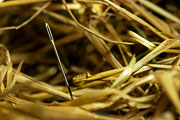 Needle in a bundle of hay. Needle in a hay stack.