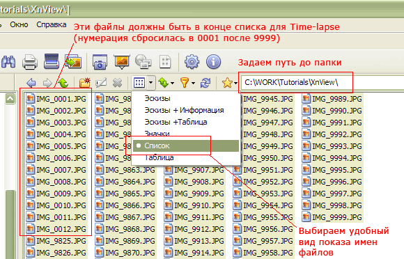 XnView - выбор папки и настройка вида для переименования файлов