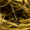 Needle in a bundle of hay. Needle in a hay stack.